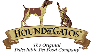 Hound and Gatos