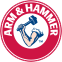 Arm and Hammer