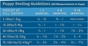 Duck GrainIn Feeding Chart Puppy