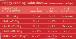 Salmon GrainIn Feeding Chart Puppy