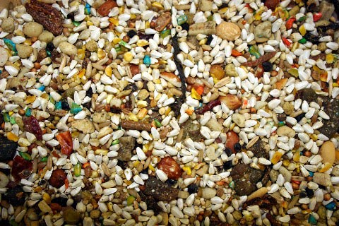 Abba 1300 Large Hookbill No Sunflower Seed Diet