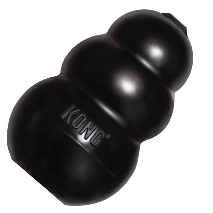 the Pet Stop by Bird Supply of NH > Interactive Toys > Kong Wobbler Large