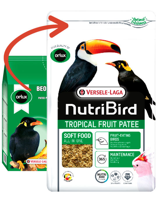 Orlux Nutribird Tropical Fruit Patee 1 Kg