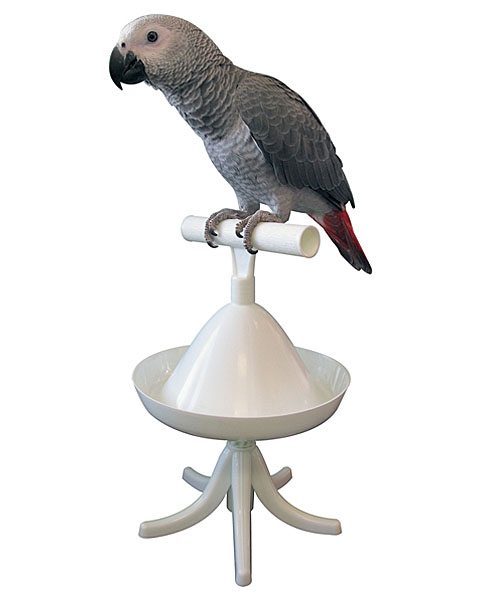 The Percher Universal Perch and Stand