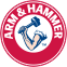 Arm and Hammer