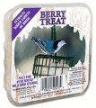 C&S Berry Suet Treat