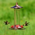 Perky-Pet® Elegant Copper Glass Hummingbird Feeder