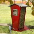 Audubon Snack Shack Squirrel-Resistant Feeder