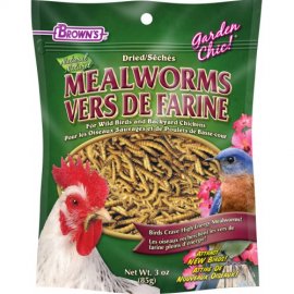 FM Browns Garden Chic!® Mealworms