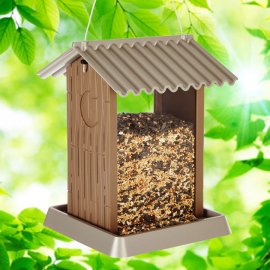 Outhouse  Bird Feeder