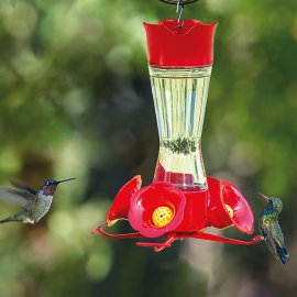 Perky-Pet® Pinch-Waist Glass Hummingbird Feeder 8 Oz