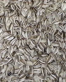 California Grey Striped Sunflower Seed 2.5 Lb