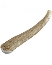 Happy Dog Whole Elk Antler