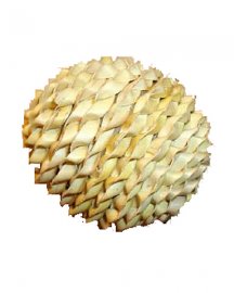 Beak Stop Palm Leaf Ball Toy