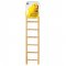 Prevue Birdie Basics 7-Rung Wood Ladder