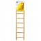 Prevue Birdie Basics 7-Rung Wood Ladder