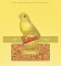 Volkman Avian Science Super Canary Bird Seed