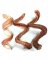 Natural Dog Natural Scent 5  Inch Curly Bully Sticks