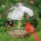 Droll Yankees X-1 Seed Saver Bird Feeder