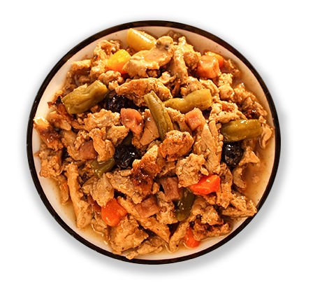 Earthborn Holistic® Toby's Turkey Dinner™
