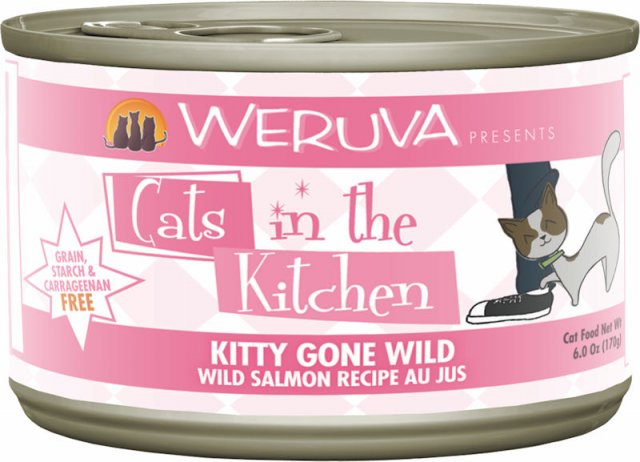 Cats in the Kitchen Kitty Gone Wild