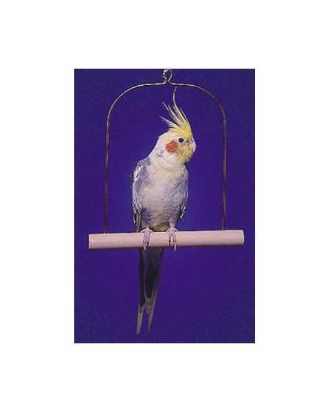 Penn-Plax Wooden Cockatiel Swing