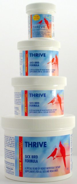 Morning Bird Thrive Sick Bird Formula