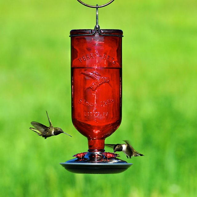 Perky-Pet® Antique Bottle Glass Hummingbird Feeder