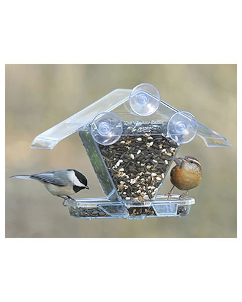 Aspects Window Cafe Bird Feeder