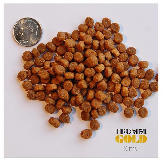 Fromm Kitten Gold Cat Food