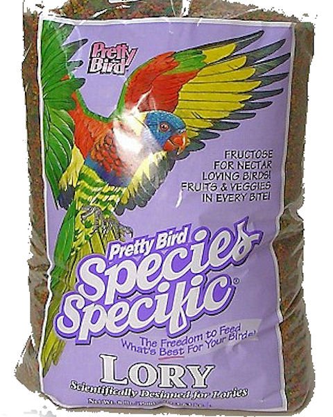 Pretty Bird Species Specific Lory