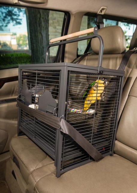 Prevue Powder Coated Steel Travel Carrier
