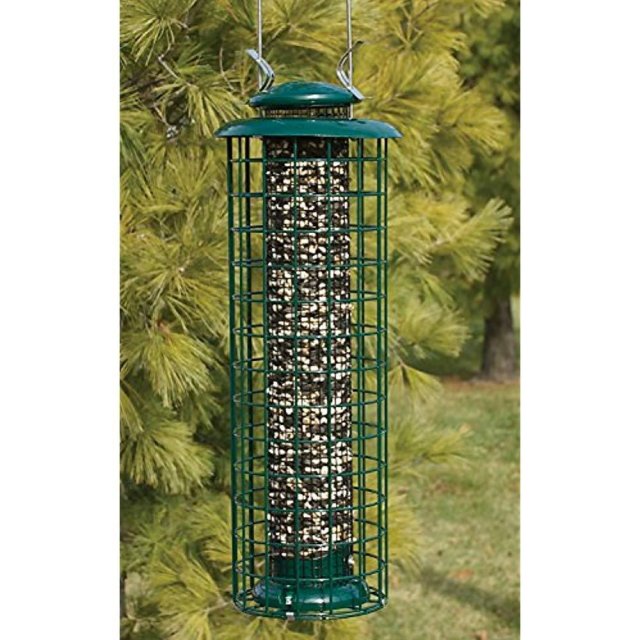 Audubon Squirrel-Resistant Caged Screen Feeder