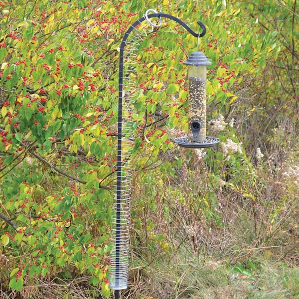 Songbird Essentials Squirrel Proof Spring 1