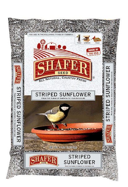 Striped Sunflower Seed