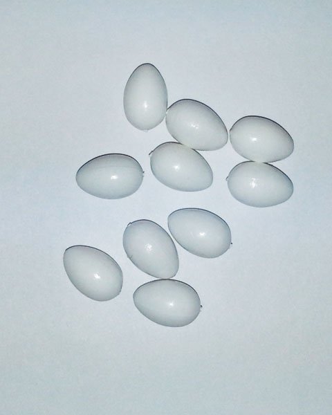 Plastic Finch-Canary-Parakeet Eggs White 10 Pack