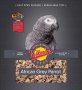 Volkman Avian Science Super African Grey Parrot