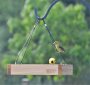 Nature's Way Cedar Hanging Platform Feeder