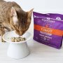 Stella & Chewys Tummy Ticklin’ Turkey Freeze-Dried Raw Dinner Morsels