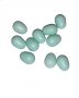 Plastic Finch - Canary Eggs Blue-Green 10 Pack