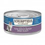 Scrumptious From Scratch Tuna with Pumpkin Cat Food 2.8 Oz.