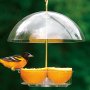 Droll Yankees X-1 Seed Saver Bird Feeder